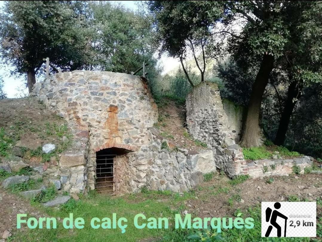 Apartamento En La Costa Del Maresme Пинеда де Мар Екстериор снимка